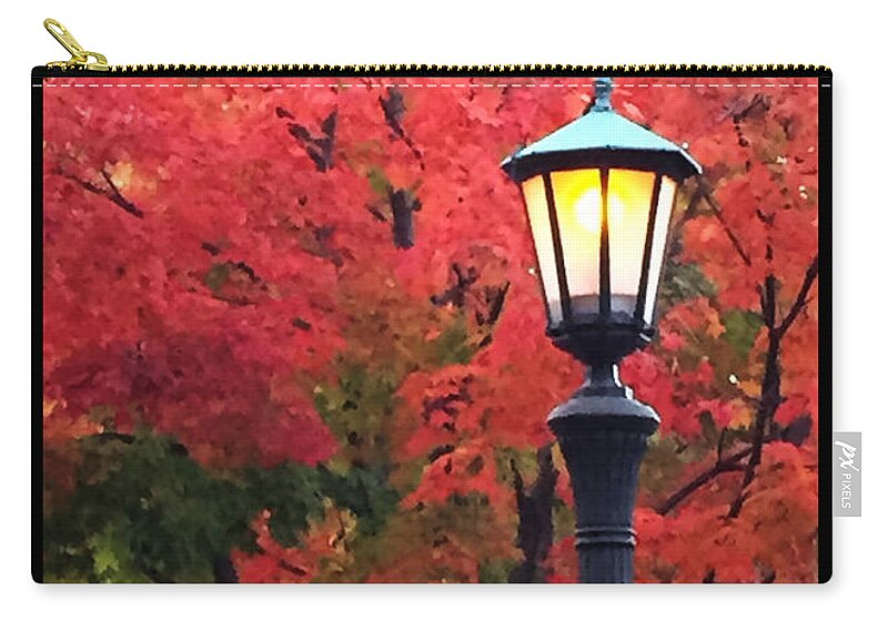 Minnesota Zip Pouch featuring the photograph Fall in Mac-Groveland by Tim Nyberg