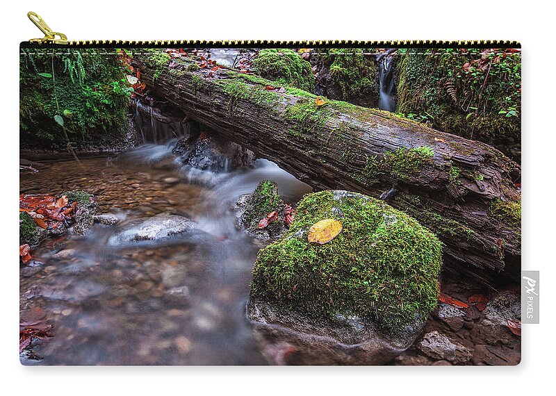 1x1 Carry-all Pouch featuring the photograph Fall In The Woods by Hannes Cmarits