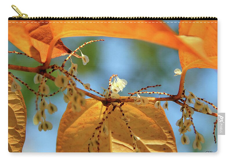 Fall Zip Pouch featuring the photograph Fall Jewels by Becca Wilcox