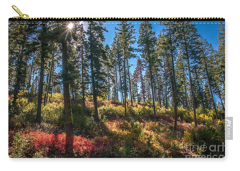 Autumn Zip Pouch featuring the photograph Fall Sun Glow by Robert Bales