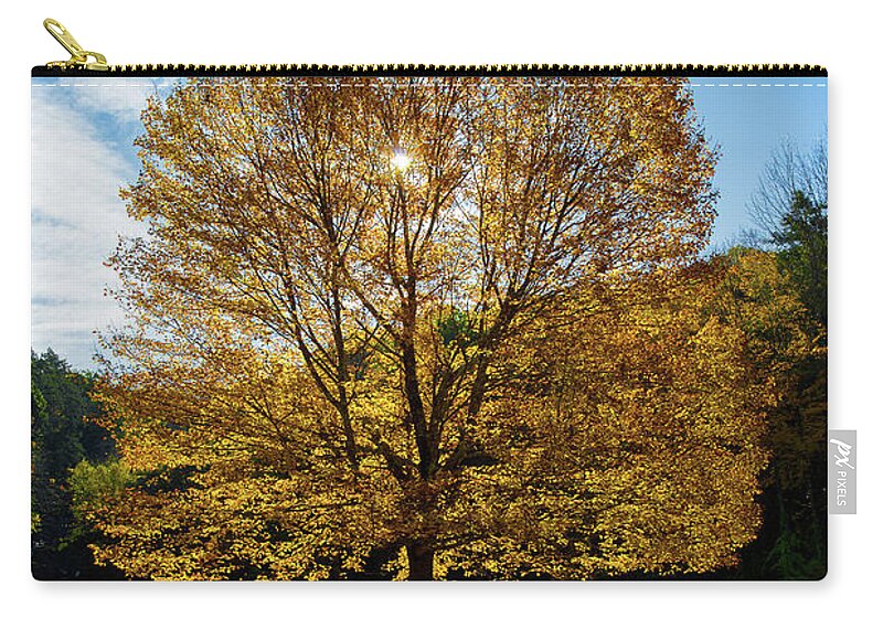 Tree Zip Pouch featuring the photograph Fall Tree Silhouette Kent Falls State Park Connecticut by Kimberly Blom-Roemer