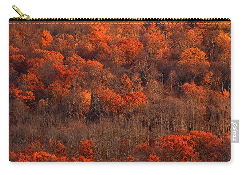 Fall Trees Along The At Zip Pouch featuring the photograph Fall Trees along the AT by Raymond Salani III