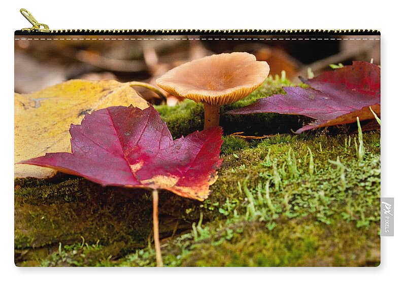 Leaf Zip Pouch featuring the photograph Fallen Leaves and Mushrooms by Brent L Ander
