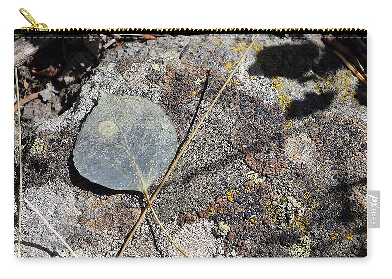 Leaf Zip Pouch featuring the photograph Fallen by Outside the door By Patt