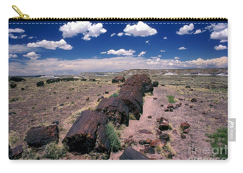 Petrified Tree Debris Zip Pouch featuring the photograph Fallen Petrified Tree in Petrified Forest National Park by Wernher Krutein