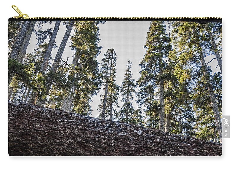 Pacific Zip Pouch featuring the photograph Fallen Trees by Pelo Blanco Photo