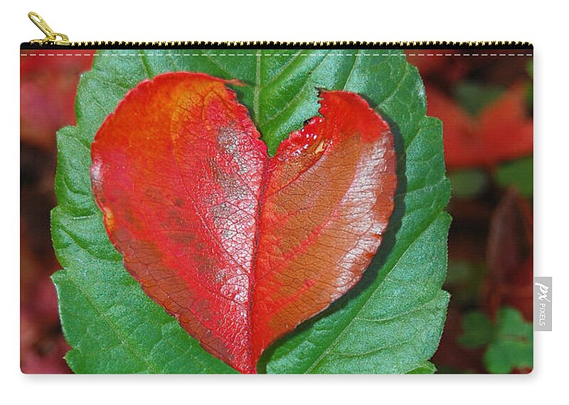 Heart Zip Pouch featuring the photograph Fall's Vibrant Contrast by Debra Thompson