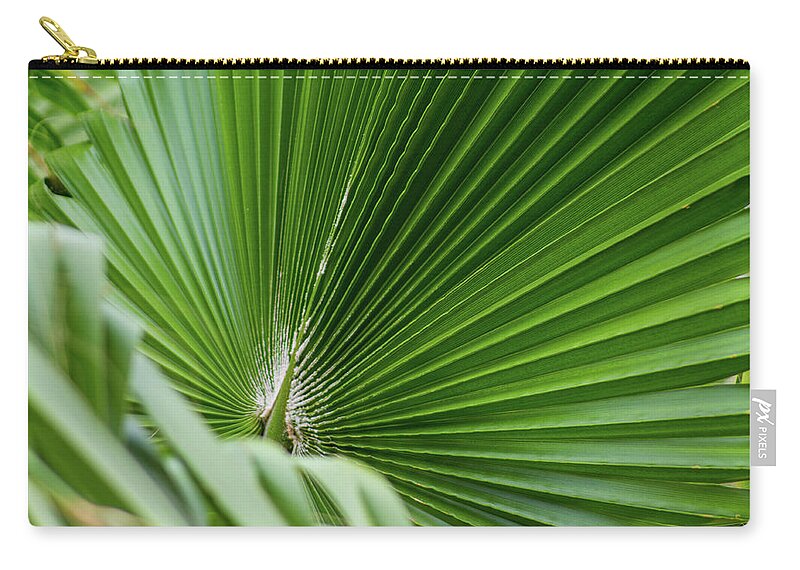 Cabo San Lucas Mx Zip Pouch featuring the photograph Fan Palm View 4 by James Gay