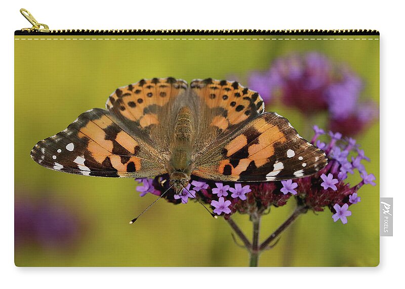 Painted Lady Butterfly Zip Pouch featuring the photograph Fanned Out by Doris Potter