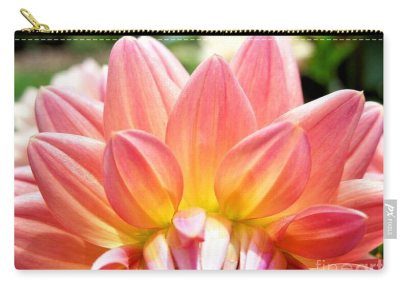 Flower Zip Pouch featuring the photograph Fanned Out Petals by Chad and Stacey Hall