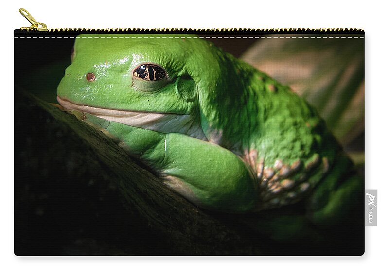 Jean Noren Zip Pouch featuring the photograph Fantastic Green Frog by Jean Noren
