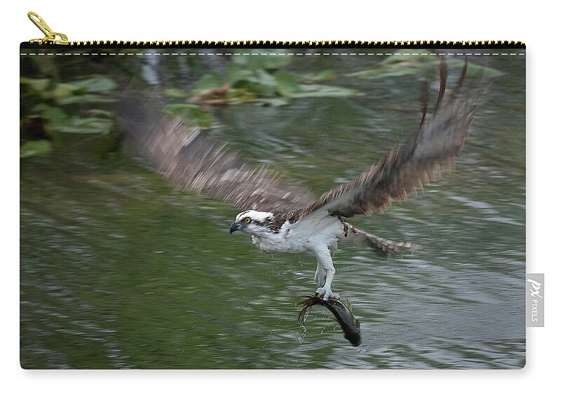 Everglades Zip Pouch featuring the photograph Fast Food by Norman Reid
