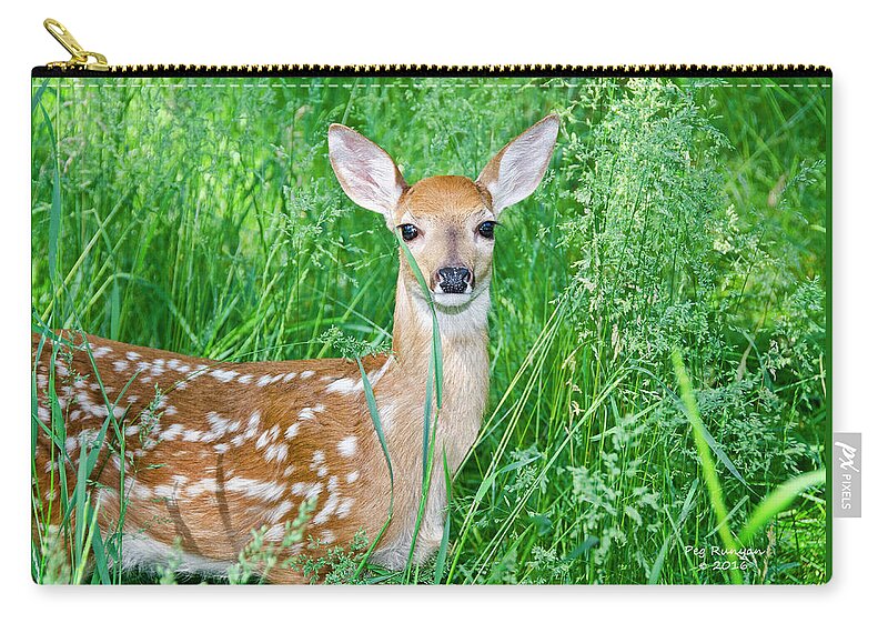 Fawn Zip Pouch featuring the photograph Fawn in Tall Grass by Peg Runyan