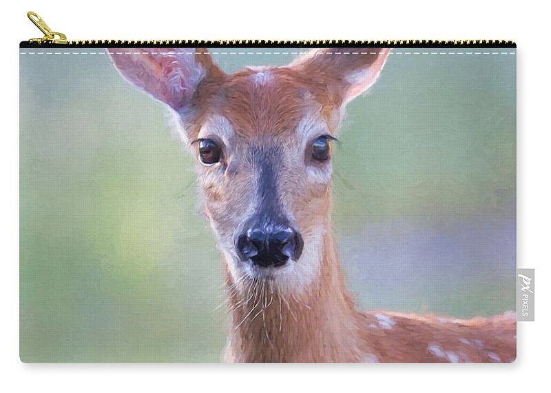  Zip Pouch featuring the photograph Fawn by Jack Bell
