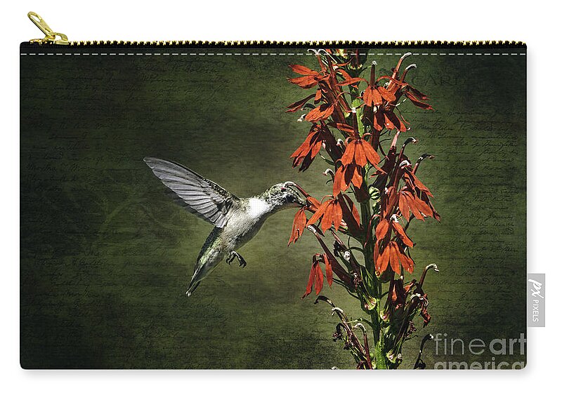 Hummingbird Zip Pouch featuring the photograph Feasting by Judy Wolinsky