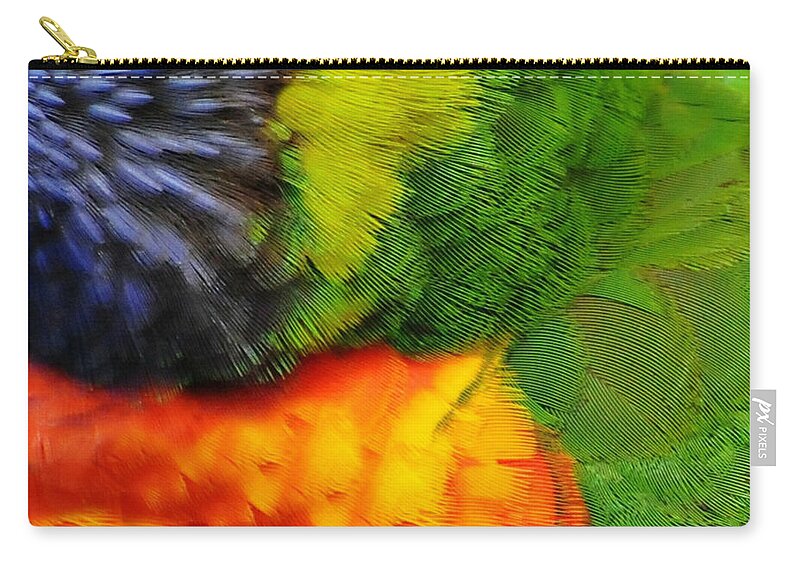 Feathers Zip Pouch featuring the photograph Birds of a Feather by Diana Angstadt