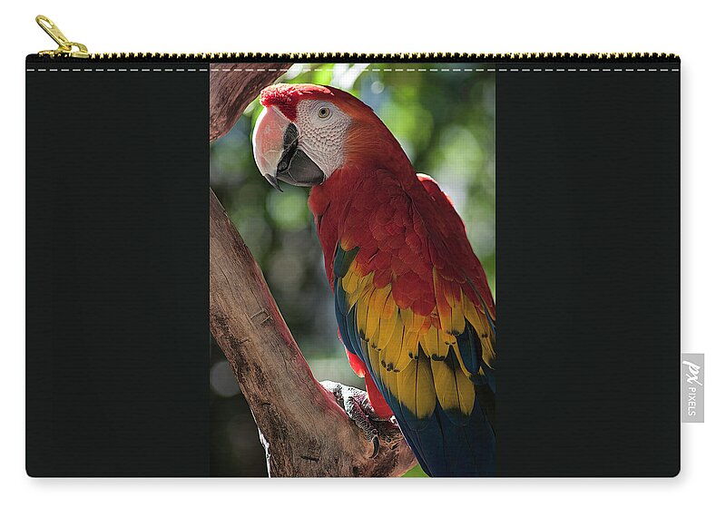 Photography Zip Pouch featuring the photograph Feathered Rainbow by Kathleen Messmer