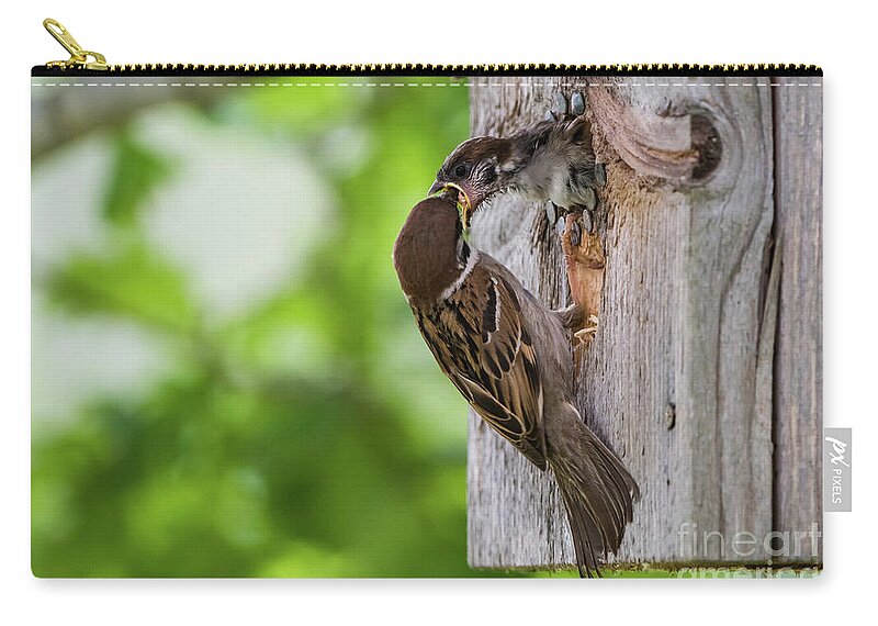 Feed Me Fast Zip Pouch featuring the photograph Feed me fast by Torbjorn Swenelius