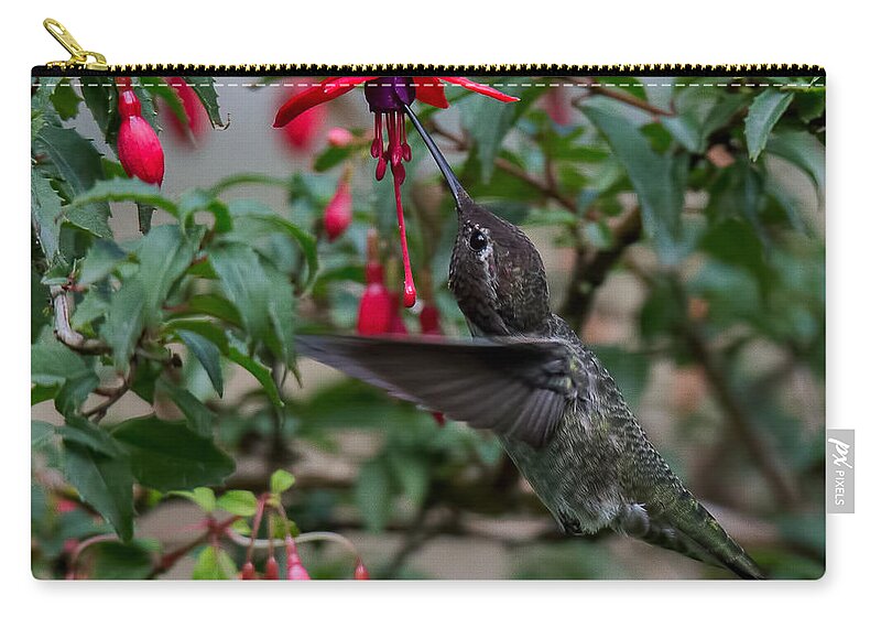 Hummingbird Zip Pouch featuring the photograph Feeding Time by Randy Hall