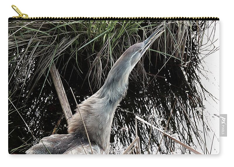 American Bittern Zip Pouch featuring the photograph Feeling Threatened by I'ina Van Lawick