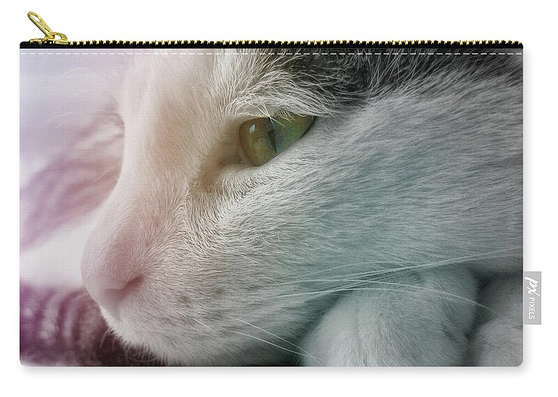 Budda Zip Pouch featuring the photograph Feline Zen by JAMART Photography
