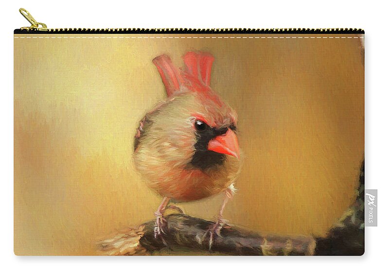 Spring Song Bird Zip Pouch featuring the photograph Female Cardinal Excited for Spring by Darren Fisher