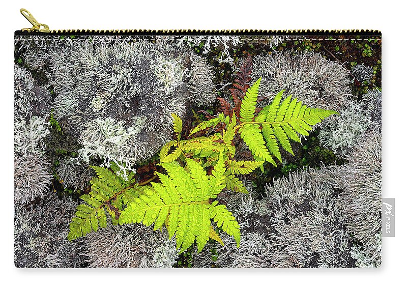 Fern Zip Pouch featuring the photograph Fern and Lichen by Christopher Johnson