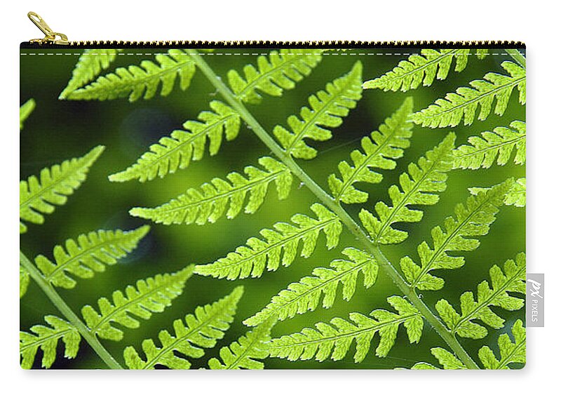 Fern Carry-all Pouch featuring the photograph Fern Branches by Ted Keller