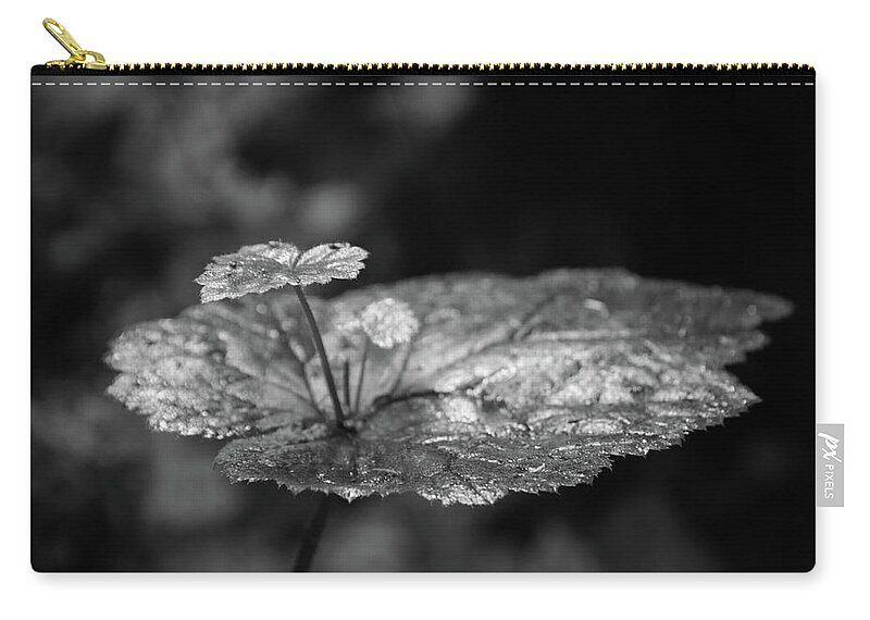 Plant Zip Pouch featuring the photograph Fern Canyon Foliage by Ryan Workman Photography