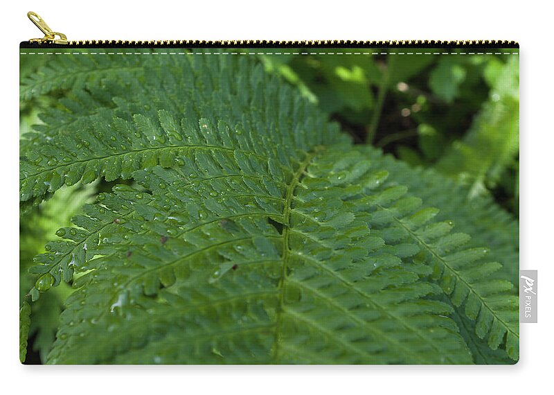 Fern Zip Pouch featuring the photograph Fern close-up by Nicola Aristolao