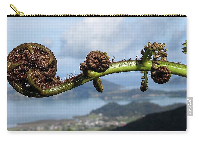 Fern Zip Pouch featuring the photograph Fern Fiddlehead by David Bader