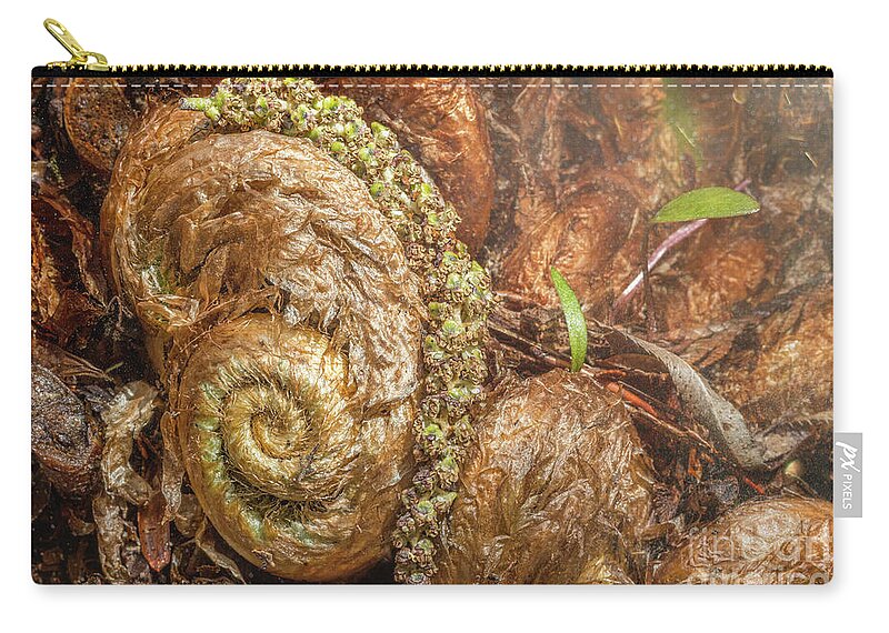 Nature Zip Pouch featuring the digital art Fern Headdress by Jean OKeeffe Macro Abundance Art