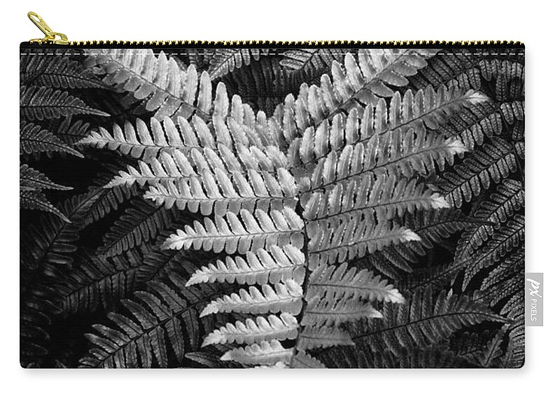 Fern Zip Pouch featuring the photograph Fern In Black and White by Greg and Chrystal Mimbs