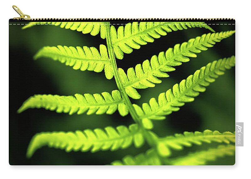 Color Zip Pouch featuring the photograph Fern Leaf by Robert FERD Frank