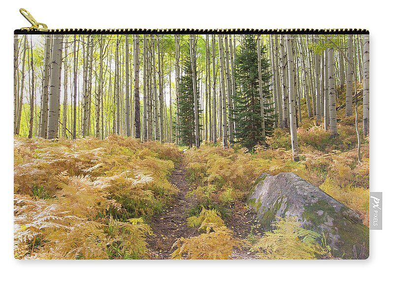 Ferns Carry-all Pouch featuring the photograph Fern Path by Nancy Dunivin