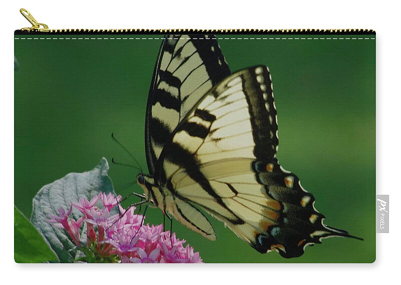 Butterfly Zip Pouch featuring the photograph Festive day by Bess Carter