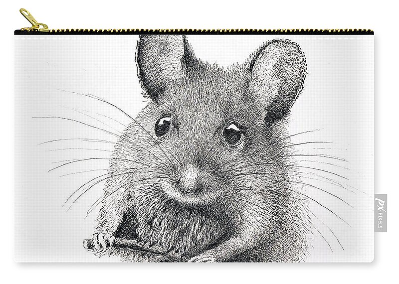 Little field mouse in pencil by 30030610 on DeviantArt