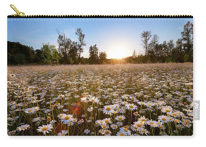 Daisy Zip Pouch featuring the photograph Field of Daisies by Andrew Kumler