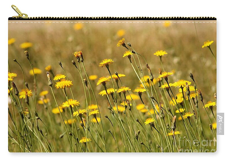 Dandelions Zip Pouch featuring the photograph Field of Dandelions by Leone Lund