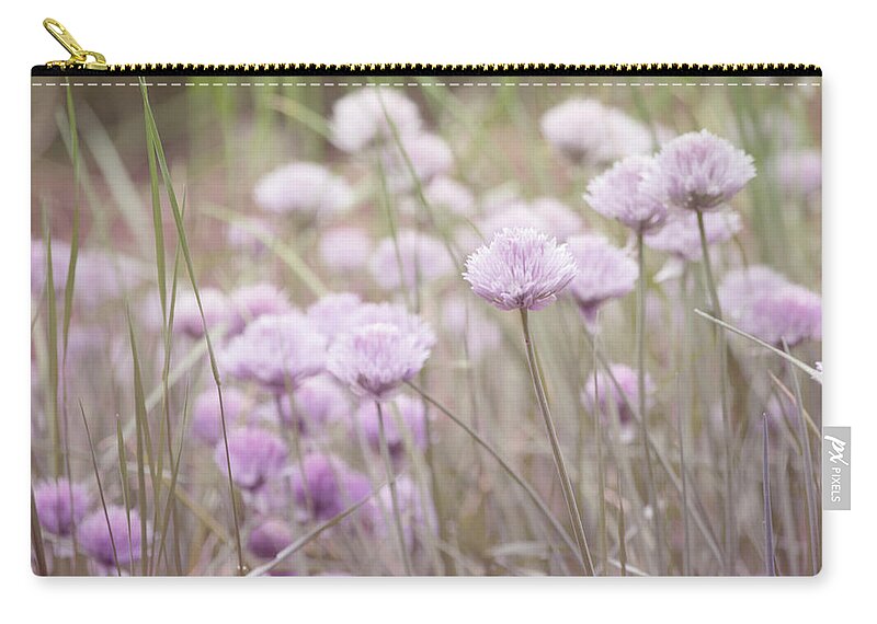 Nature Prints Zip Pouch featuring the photograph Field of Flowers by Bonnie Bruno