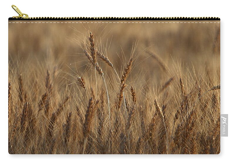 Agriculture Zip Pouch featuring the photograph Field of Gold by David Andersen
