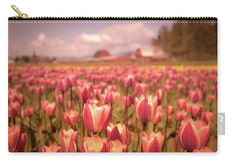 #tulips Zip Pouch featuring the photograph Field of Tulips by Rebekah Zivicki