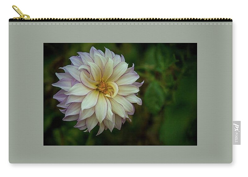 Flower Zip Pouch featuring the photograph Face mask Filoli Zinnea by Patricia Dennis