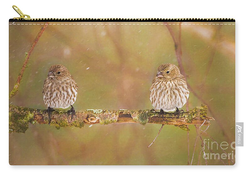 Aves Zip Pouch featuring the photograph Finch Sisters by Heather Hubbard