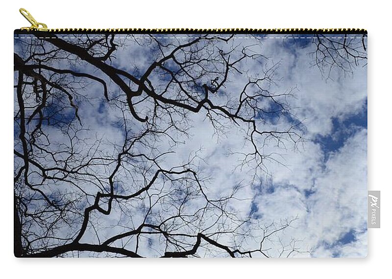 Sky Carry-all Pouch featuring the photograph Fingers in the sky by Stacie Siemsen