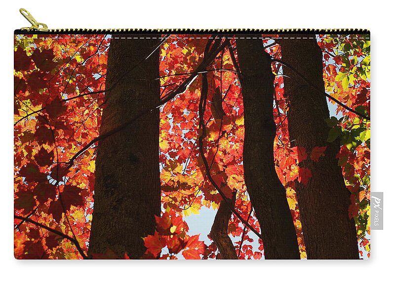 Nature Zip Pouch featuring the photograph Firey Autumn Color by Dorothy Lee