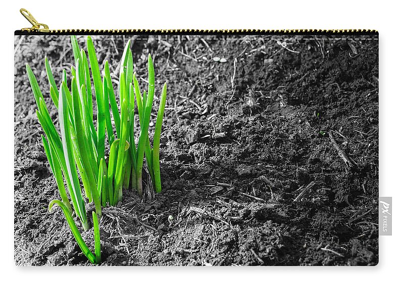Green Spring Zip Pouch featuring the photograph First Green Shoots of Spring and Dirt by John Williams