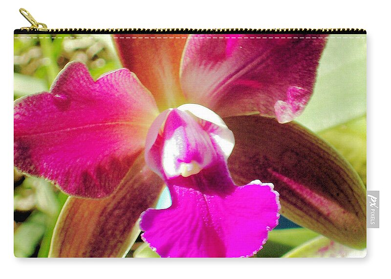 This Was My First Attempt At Growing Orchids And This One Bloomed Very Nicely. I Got The Photo Before My Dog Ate The Bloom Off Zip Pouch featuring the photograph Beautiful Lavendar Orchid by Belinda Lee