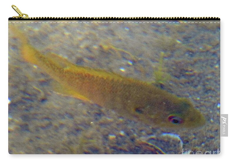 Fish Zip Pouch featuring the photograph Fish Sandy Bottom by Rockin Docks Deluxephotos