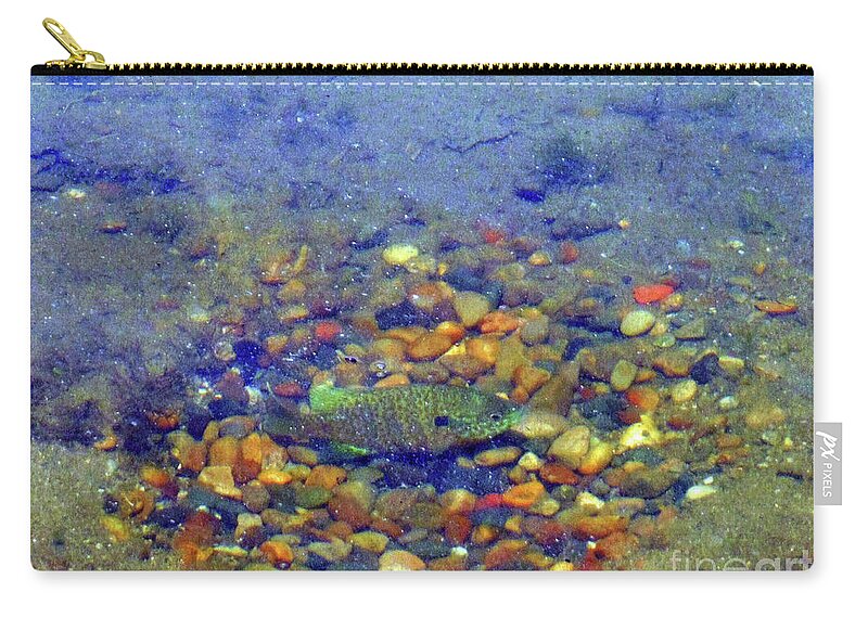 Fish Zip Pouch featuring the photograph Fish Spawning by Rockin Docks Deluxephotos